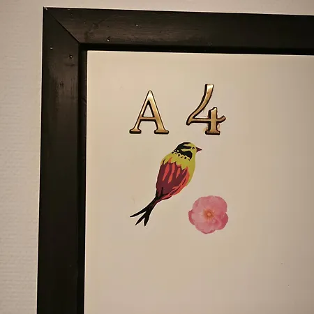 Nordic * Jyväskylä