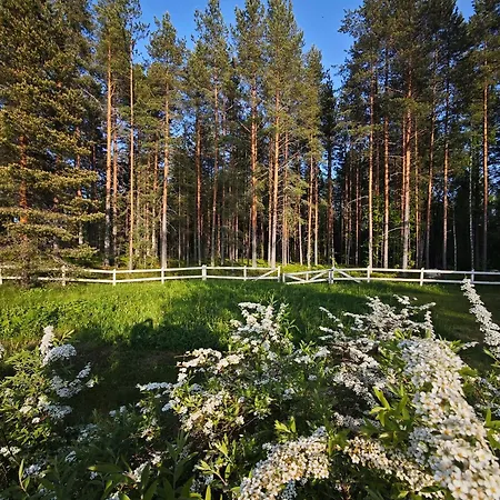 بيت ريفي Nordic Jyväskylä